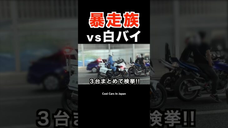 【白バイvs暴走族⁉️】爆音バイク集団が捕まる瞬間‼️ #shorts
