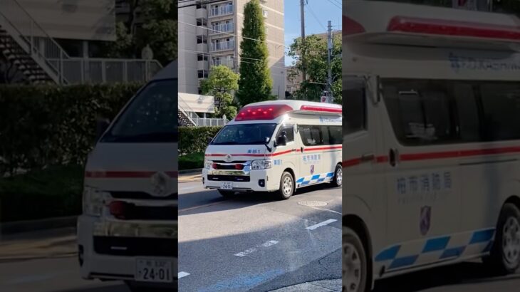 柏市消防局　東部消防署　東部救急車1 緊急走行