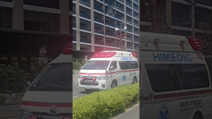 【緊急走行】コンフォートサイレン吹鳴!指宿南九州消防組合指消救急1