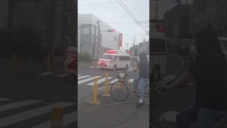 【トヨタオリジナルサイレン🚨】松戸市消防局　救急車　六実救急1。　緊急走行シーン！