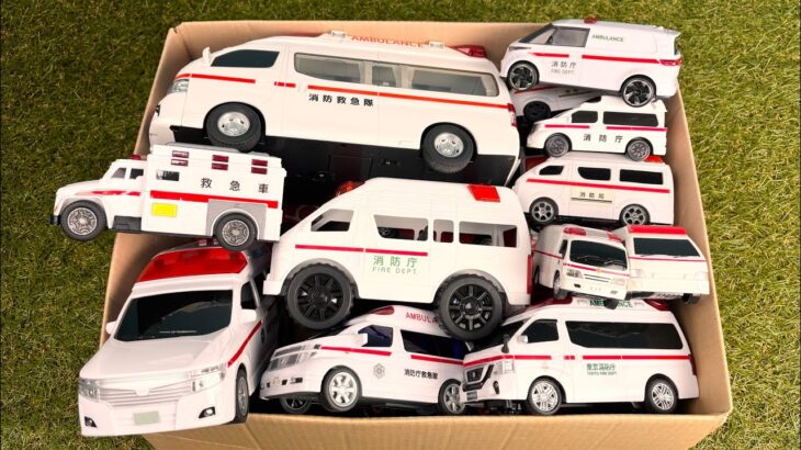 🚑救急車のミニカーがいっぱい！1台ずつチェック♪サイレン音＆坂道緊急走行テスト｜Ambulance Emergency Drive Test
