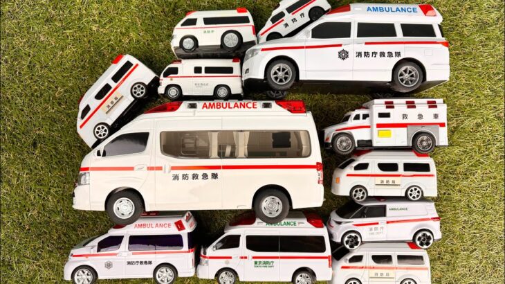 救急車ミニカーが大集合！救急車を1台ずつチェックして坂道緊急走行テスト！Ambulance Toy Cars Emergency Drive Test