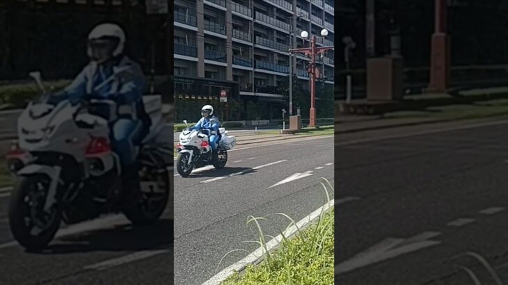 【緊急走行】2台連続で一瞬にして走り抜く!鹿児島県警察交通機動隊白バイ