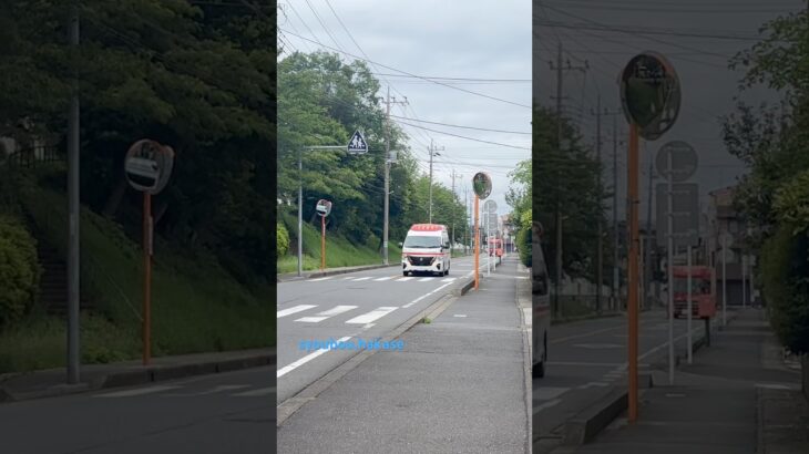湖北救急2緊急走行2連発‼️PA連携の映像もあり #緊急車両 #消防車