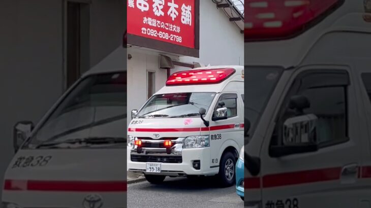 【新車】福岡市消防局 東消防署和白出張所”救急38″ 「市村Ⅴ号」 緊急走行