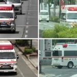 🚨救急車🚨緊急走行🚨4連発🚨響き渡るサイレン🚨 #救急車 #緊急走行 #西宮市消防局 #伊丹市消防局