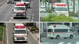🚨救急車🚨緊急走行🚨4連発🚨響き渡るサイレン🚨 #救急車 #緊急走行 #西宮市消防局 #伊丹市消防局