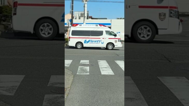 藤沢市内の国道467号線を緊急走行するパラメディック救急車【南救急隊・大和市消防本部】