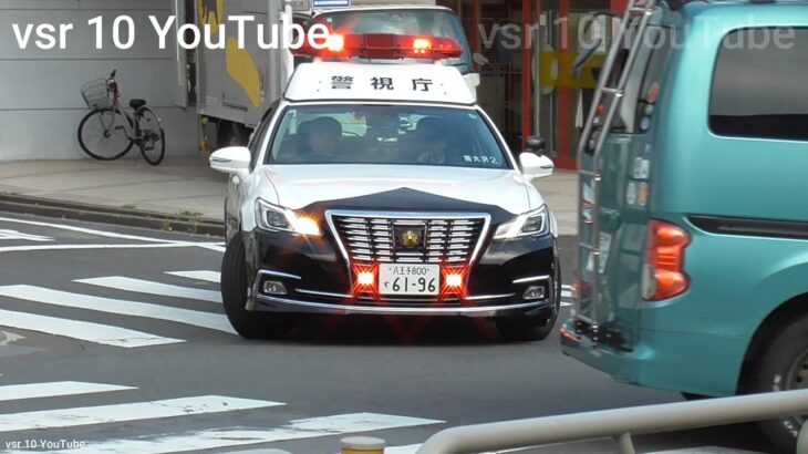 4桁ゾロ目ナンバー！！歩行者もびっくりの真横を素通り！パトカーが緊急走行で追尾！•高齢者の真横をノーブレーキでぶっちぎり！NT白バイが停止命令！•青なのに進まない？パトカーの前でこの後とった行動は？等