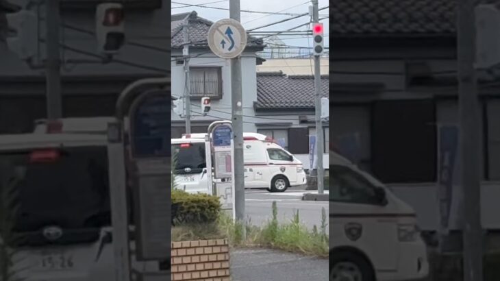 【C CABIN】越谷市消防局　救急車。救急蒲生1。緊急走行シーン！