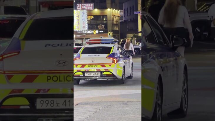 ソウルのパトカーが超リアルに帰還！永登浦警察署の日常 Korean Police Car Returning to Yeongdeungpo Station in Seoul!
