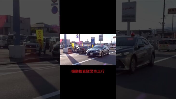 現場へ急行する機動捜査隊の覆面パトカー #トヨタカムリ #覆面パトカー #機動捜査隊 #MIU #パトカー