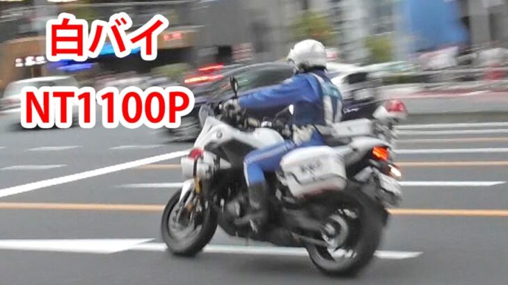 【白バイの交通取締】NT1100P の加速音！黄色線を車線変更した違反車を緊急走行で追う 2連発