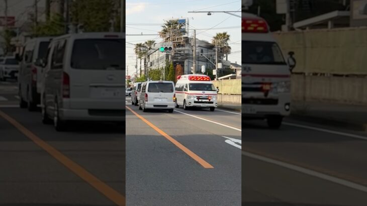 TCDサイレンを鳴らし緊急走行 アクティビーコン搭載ハイメディック救急車【善行救急隊・藤沢市消防局】
