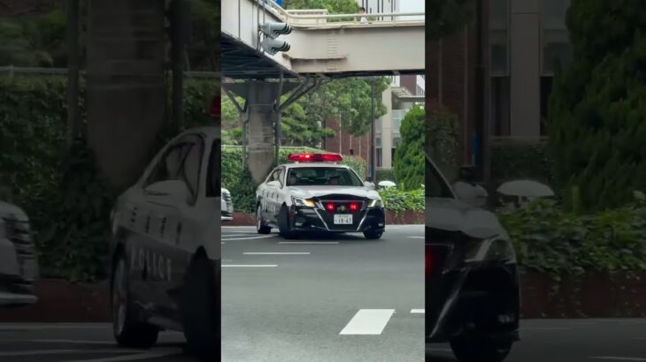 🚨交差点をUターンするパトカーが格好いい🚨 #パトカー #赤色灯 #Ｕターン #shorts #shortvideo #short