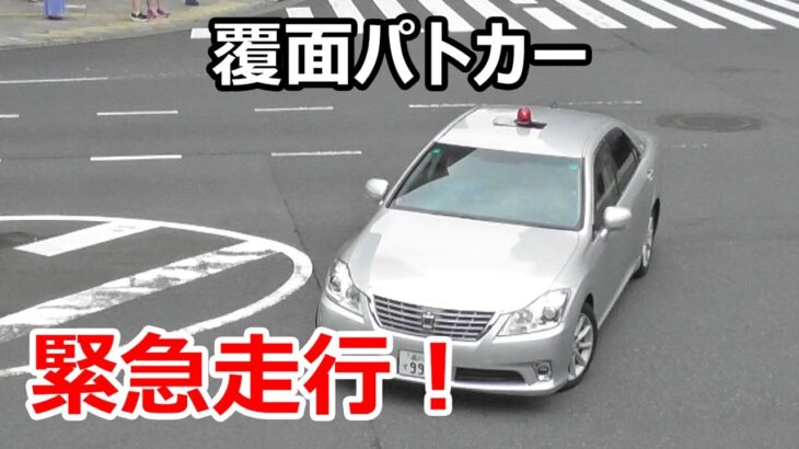 そこ転回ダメよ…Uターンしたミニバンを緊急走行で追う200系銀クラ覆面パトカー！