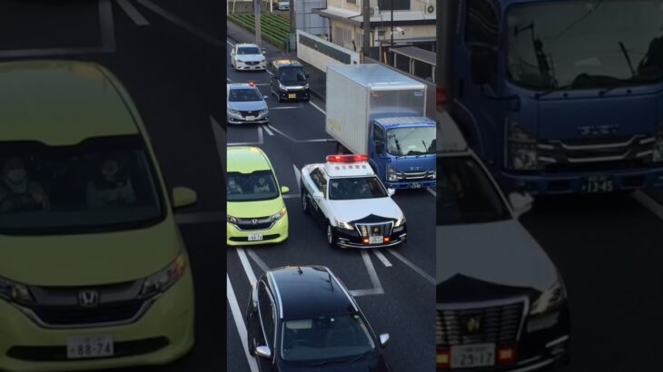 【緊急走行】自らパトカーと所轄覆面パトカー！アナウンスが聞き取りやすくて◎ #automobile #緊急走行 #警察 #事故 #事件 #パトカー