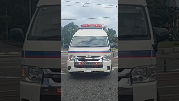 【緊急走行】sap-520が鳴り響く!鹿児島市立病院DMATドクターカー