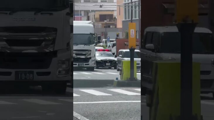🚨パトカー🚨兵庫県警🚨赤色灯🚨パトロール🚨 #パトカー #兵庫県警 #赤色灯 #short #shorts #shortvideo