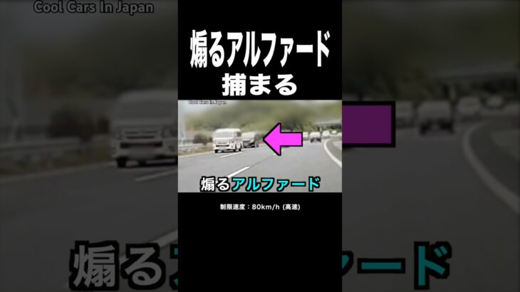 煽るアルファードに天罰⁉️ 覆面パトカーに捕まる‼️ #shorts