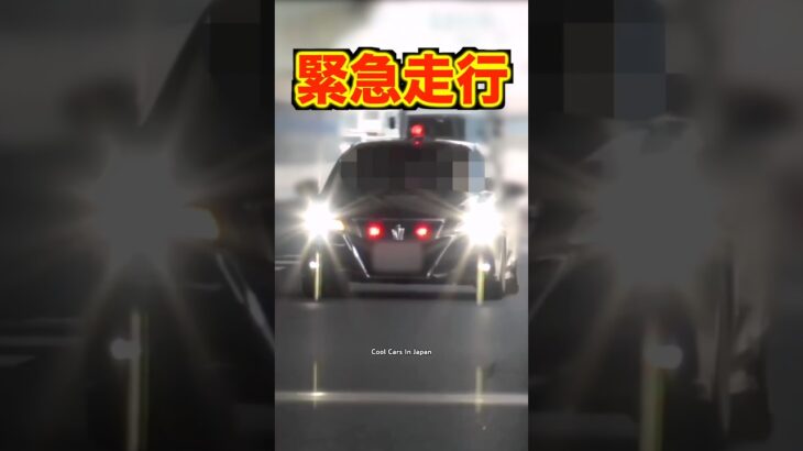 覆面パトカーの『緊急走行』が凄い‼️ #shorts