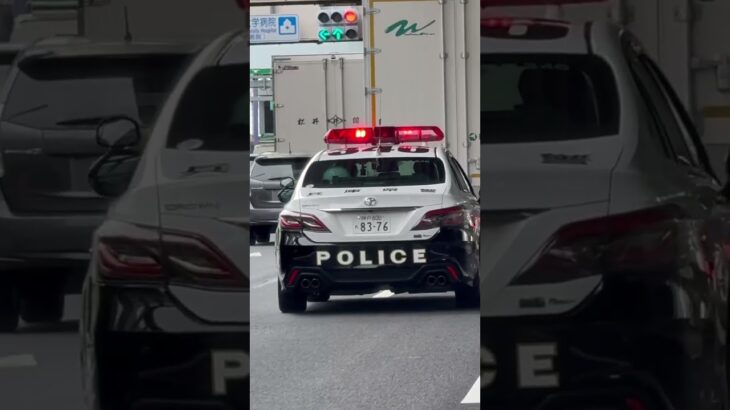 🚨パトカー🚨兵庫県警🚨赤色灯🚨パトロール🚨 #パトカー #兵庫県警 #赤色灯 #shorts #short #shortvideo
