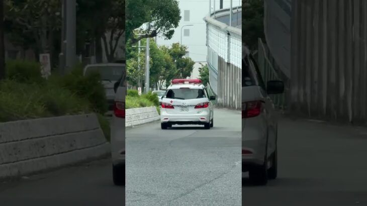 🩸血液輸送車🩸走行動画🩸帰還シーン🩸 #血液輸送車 #shorts #short #shortvideo #shortsfeed #shortsvideo