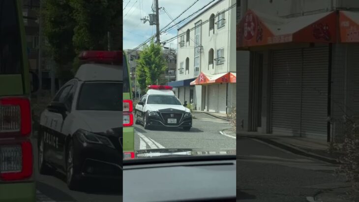 🚨パトカー🚨兵庫県警🚨赤色灯🚨パトロールカー🚨 #パトカー #兵庫県警 #赤色灯 #shorts #shortvideo #short