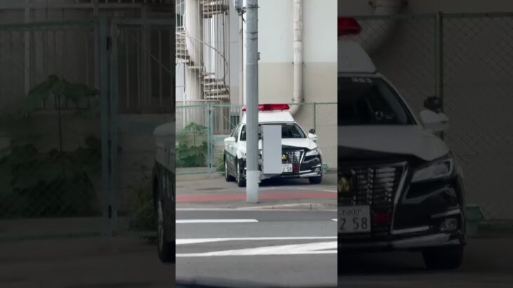 🚨パトカー🚨大阪府警🚨クラウンパトカー🚨 #パトカー #大阪府警 #shorts #shortvideo #short