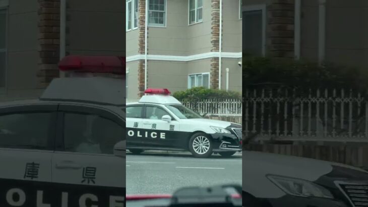 🚨パトカー🚨赤色灯🚨兵庫県警🚨パトロール🚨 #パトカー #兵庫県警 #赤色灯 #shorts #shortvideo #short