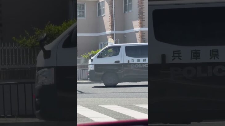 🚨兵庫県警🚨警察車両🚨赤色灯🚨 #パトカー #兵庫県警 #警察車両 #shorts #shortvideo #short