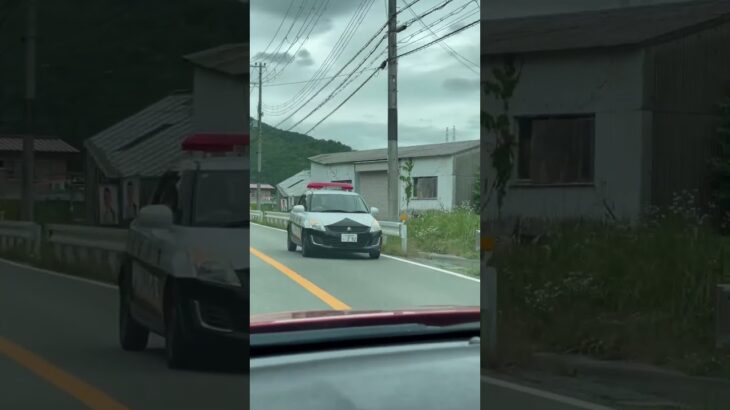 🚨パトカー🚨ミニパト🚨大阪府警🚨 #パトカー #大阪府警 #shorts #shortvideo #short