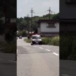 🚨パトカー🚨ミニパト🚨兵庫県警🚨赤色灯🚨 #パトカー #兵庫県警 #赤色灯 #shorts #shortvideo #short