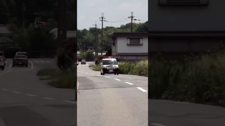 🚨パトカー🚨ミニパト🚨兵庫県警🚨赤色灯🚨 #パトカー #兵庫県警 #赤色灯 #shorts #shortvideo #short