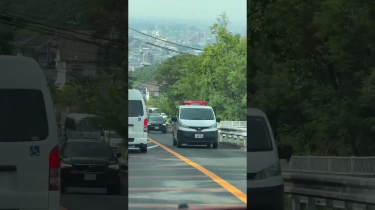 🚨兵庫県警🚨警察車両🚨赤色灯🚨パトカー🚨 #パトカー #兵庫県警 #警察車両 #shorts #shortvideo #short