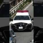🚨パトカー🚨兵庫県警🚨パトロール🚨クラウンパトカー🚨 #パトカー #兵庫県警 #shorts #shortvideo #short #shortsfeed