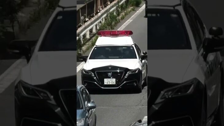 🚨パトカー🚨兵庫県警🚨パトロール🚨クラウンパトカー🚨 #パトカー #兵庫県警 #shorts #shortvideo #short #shortsfeed
