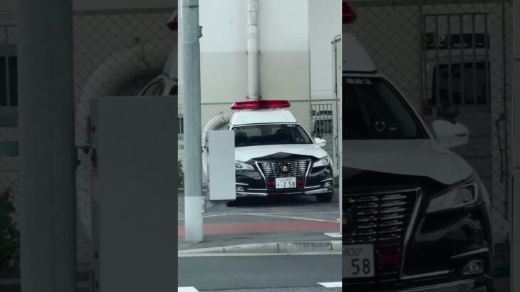 🚨大阪府警🚨パトカー🚨 #パトカー #大阪府警 #shorts #shortvideo #short #shortsfeed
