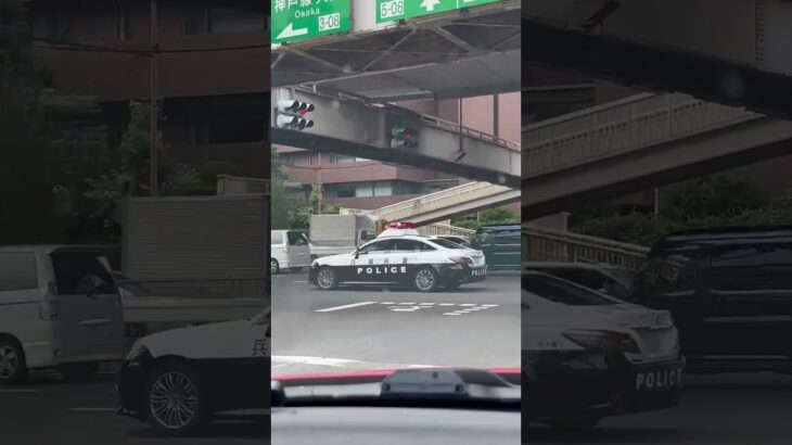 🚨パトカー🚨兵庫県警🚨赤色灯🚨 #パトカー #兵庫県警 #shorts #shortvideo #short #shortsfeed