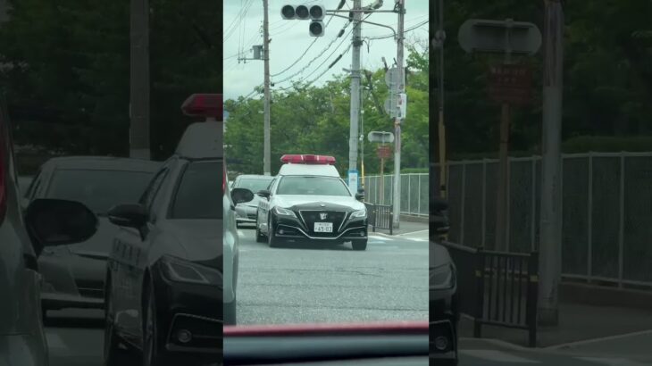 🚨パトカー🚨兵庫県警🚨パトロール🚨 #パトカー #兵庫県警 #shorts #shortvideo #short #shortsfeed