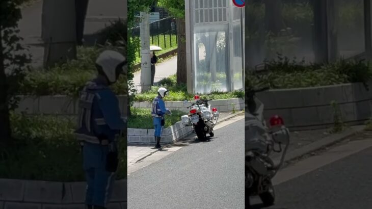 😳😳😳白バイを発見😳😳😳 #白バイ #白バイ隊員 #兵庫県警 #shorts #shortvideo #short #shortsfeed