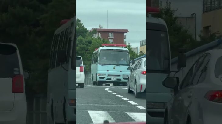 🚨兵庫県警🚨警察車両🚨 #兵庫県警 #警察車両 #shorts #shortvideo #short #shortsfeed