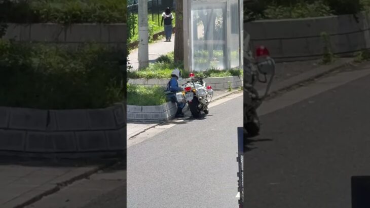 🚨白バイを発見🚨兵庫県警🚨 #白バイ #白バイ隊員 #兵庫県警 #shorts #shortvideo #short #shortsfeed