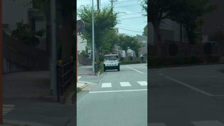 😳パトカーが停まってた😳 #パトカー #兵庫県警 #ミニパト #shorts #shortvideo #short #shortsfeed