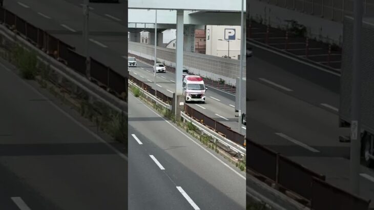 🚨救急車🚨緊急走行🚨響き渡るサイレン🚨 #救急車 #緊急走行 #西宮市消防局 #shorts #shortvideo #shortsfeed