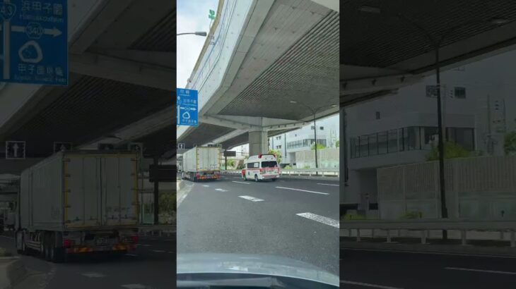 🚨救急車🚨帰還シーン🚨西宮市消防局🚨 #救急車 #西宮市消防局 #shorts #shortvideo #shortsfeed