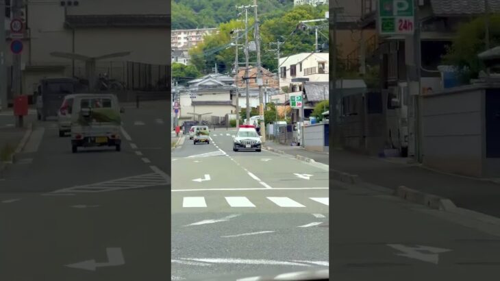 🚨パトカー🚨兵庫県警🚨パトロール🚨クラウンパトカー🚨 #パトカー #兵庫県警 #shorts #shortvideo #shortsfeed #short