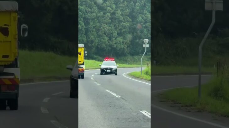 🚨パトカー🚨三重県警🚨赤色灯🚨パトロール🚨 #パトカー #三重県警 #赤色灯 #shorts #shortvideo #shortsfeed #short