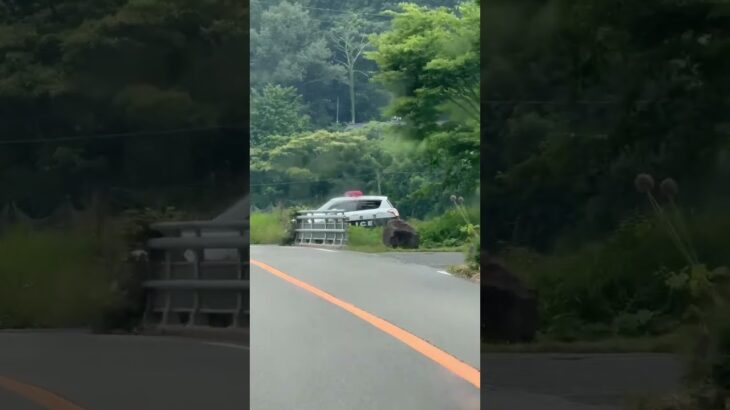 🚨パトカー🚨大阪府警🚨パトロール🚨 #パトカー #大阪府警 #shortvideo #short #shorts #shortsfeed