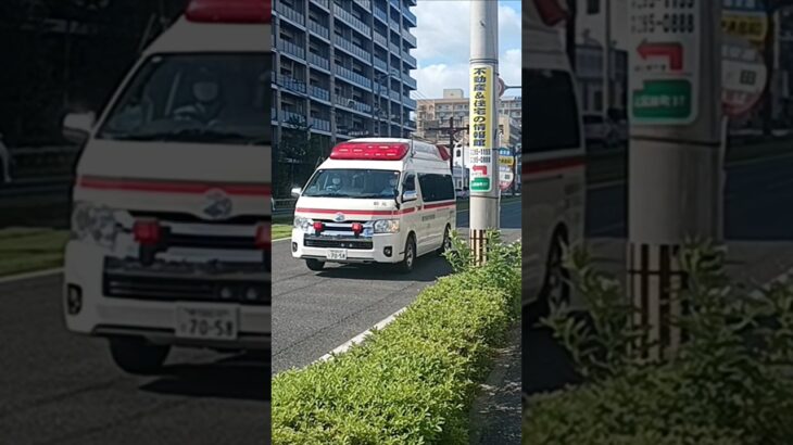 【緊急走行】市立病院へ救急搬送!鹿児島市消防局南本署非常用救急隊（郡元救急代車運用中）